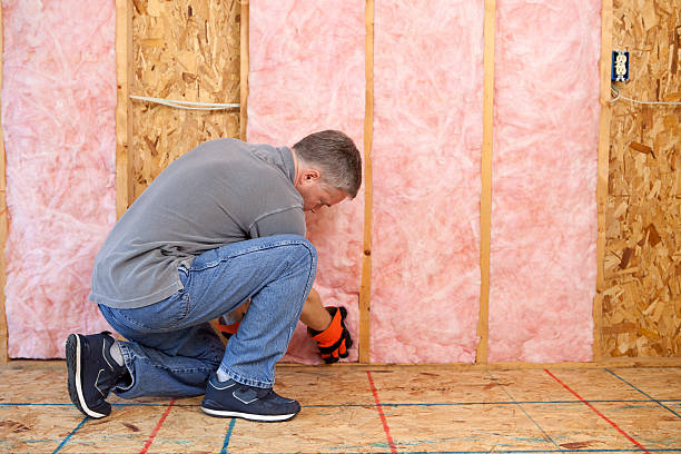 Best Geographic-Specific Insulation Services in Crowley, LA