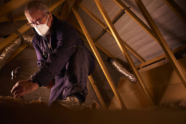 Best Commercial Insulation in Crowley, LA